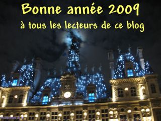 Lindependantdu4e_hotel_de_ville_illuminations_bonne_annee_IMG_8497