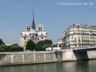 Lindependantdu4e_ile_de_la_cite_saule_pleureur_IMG_7502