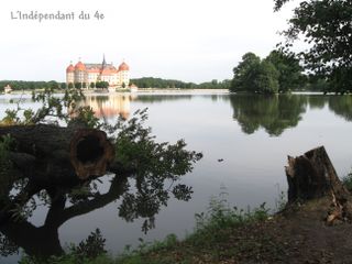 Lindependantdu4e_tronc_schloss_moritzbrg_IMG_1384