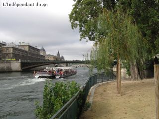 Lindependantdu4e_saule_pleureur_IMG_3870