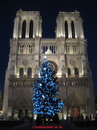 Lindependantdu4e_notre_dame_sapin_IMG_4941