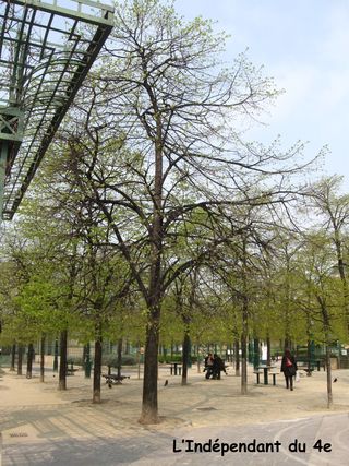 Lindependantdu4e_les_halles_IMG_7238