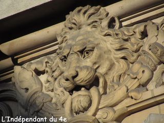 Lindependantdu4e_lions_bhv_IMG_1799