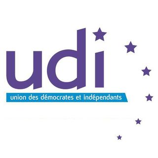 UDI-Logo-CE