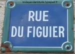 Lindependantdu4e_rue_du_figuier_i_2